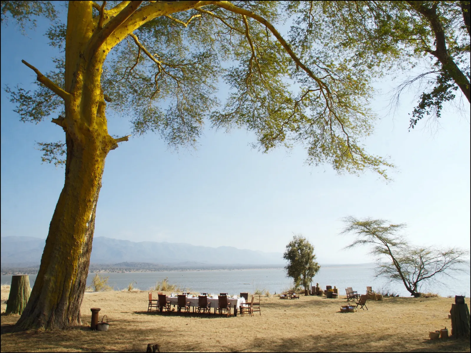 Picnic table set under a fever tree by the lake