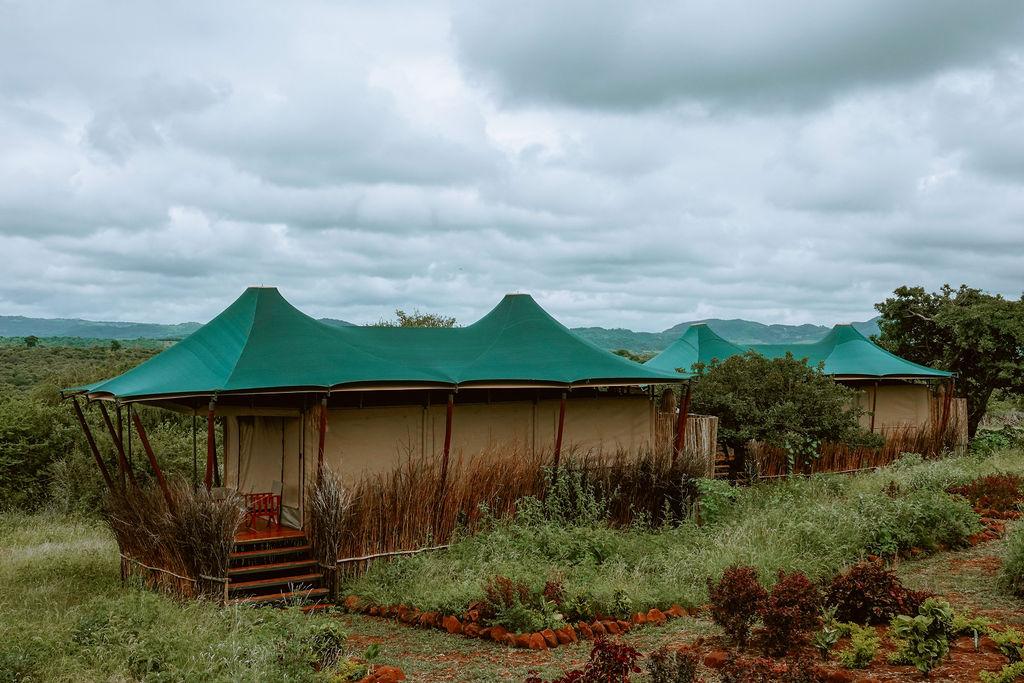 Tents above the herb garden